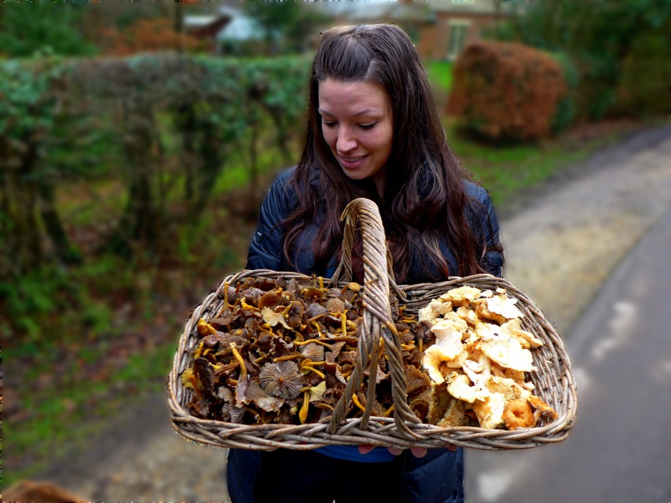 Lisa with a basketful of winter chanterelles and hedgehog mushrooms