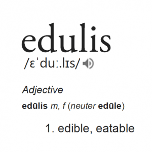 Definition of 'edulis'