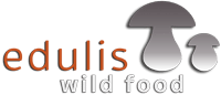 Edulis : wild food