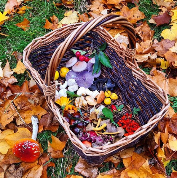 A colourful collection of wild edible fruits and fungi in a wicker basket on a bed of fallen leaves