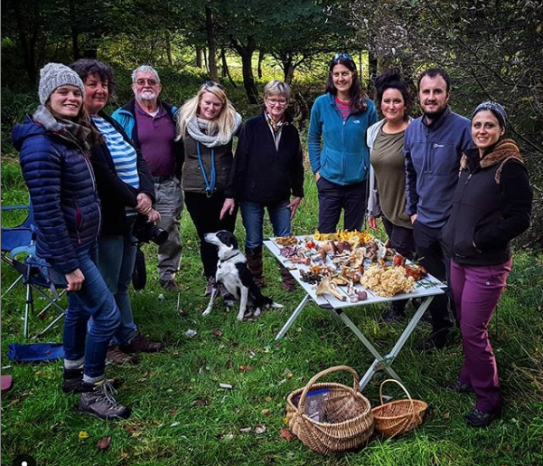 A table laid out with foraged mushrooms surrounded by several autumn foraging course attendees and a dog in a woodland setting in the lake district