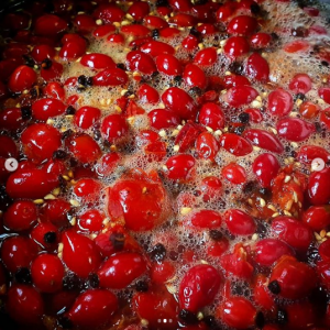 Rosehips cooking in water